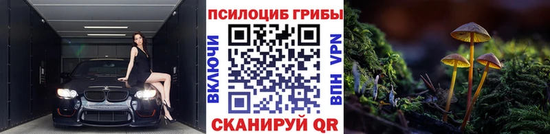 цены наркотик  Плёс  Галлюциногенные грибы ЛСД 