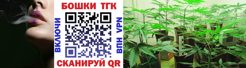 Бошки Шишки OG Kush  Плёс 